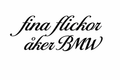 Fina flickor åker bmw
